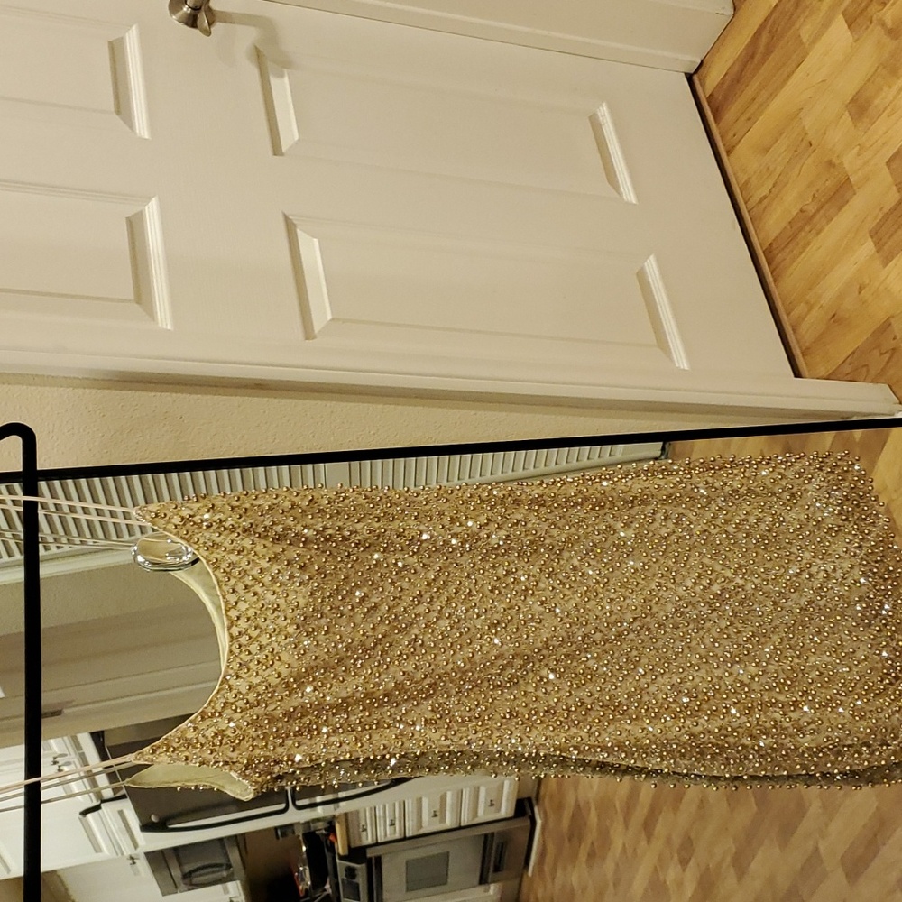 Sequin dress or shirt